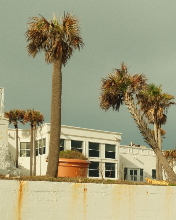Coastal building with palm trees and an overcast sky, ideal for tropical and architectural themes.